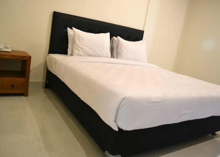 Ivanka Airport Guest house