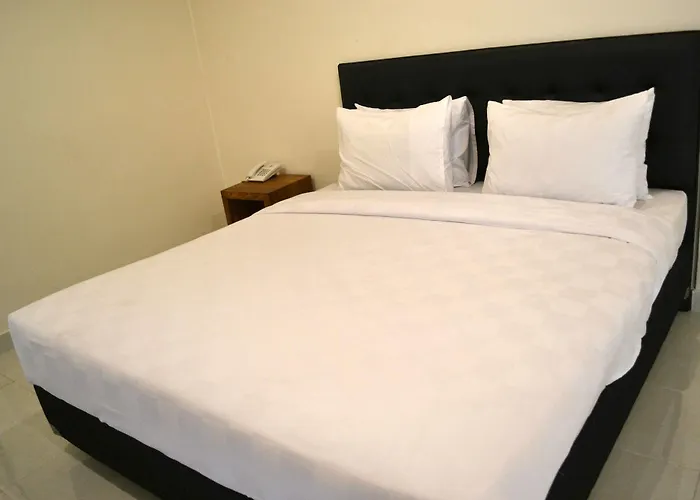 Ivanka Airport Guest house *